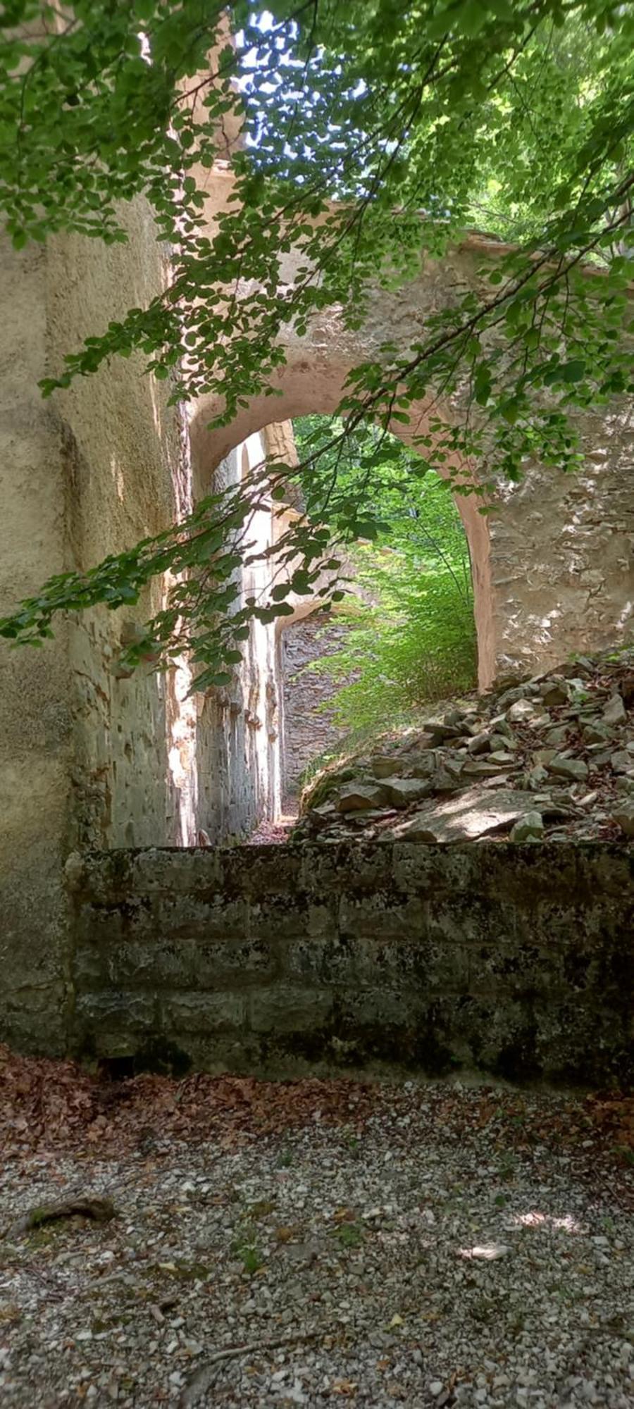 Gite La Mosaique Dauphin Extérieur photo